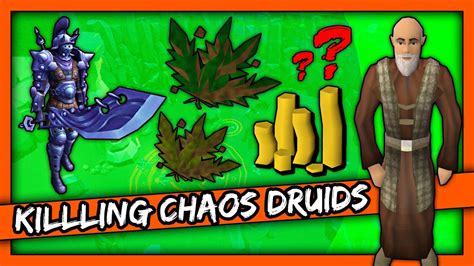 Killing chaos druids .